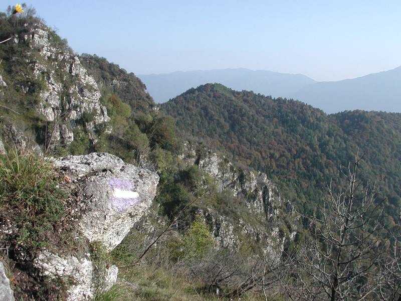 Trail Covoli in Val di Lamen View of Pafagai