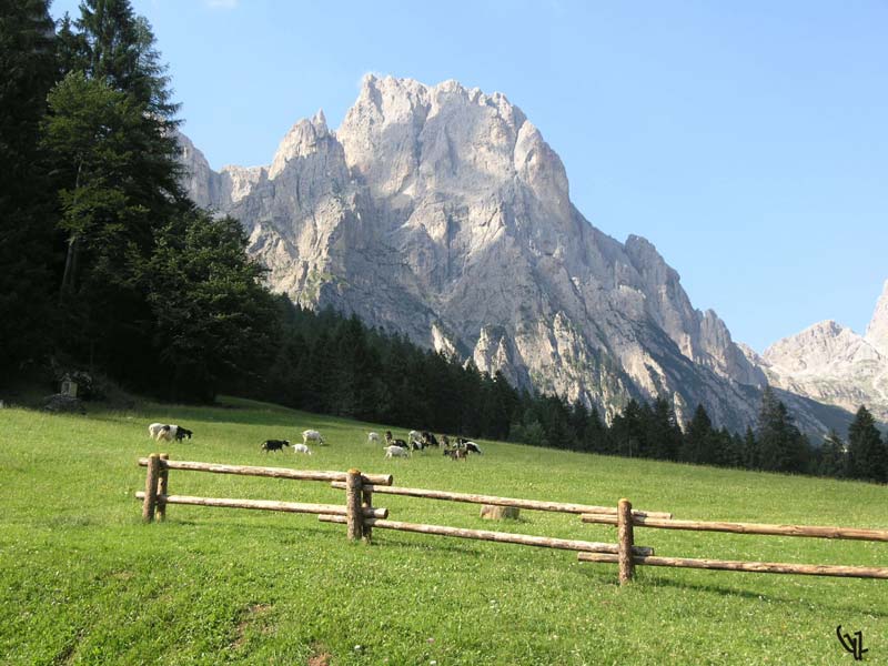 Trail in Val Canali