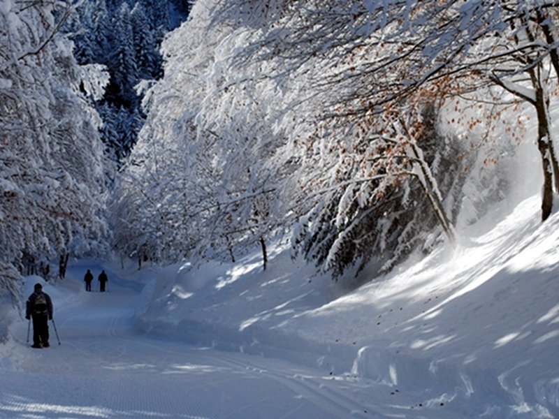 Escursione con le racchette da neve: Il pian del Creus