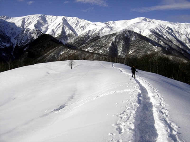 Escursione con le racchette da neve: Anello del Vallone di S. Bruno