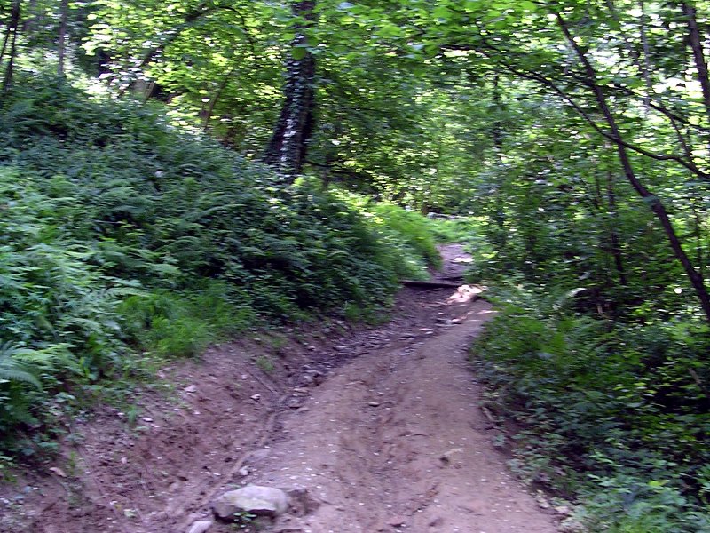 Trail 921