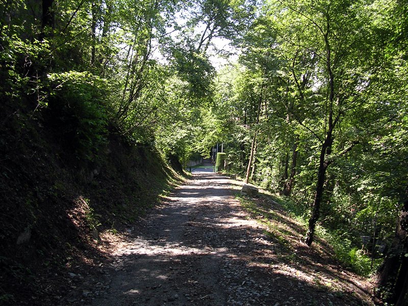 Trail 805