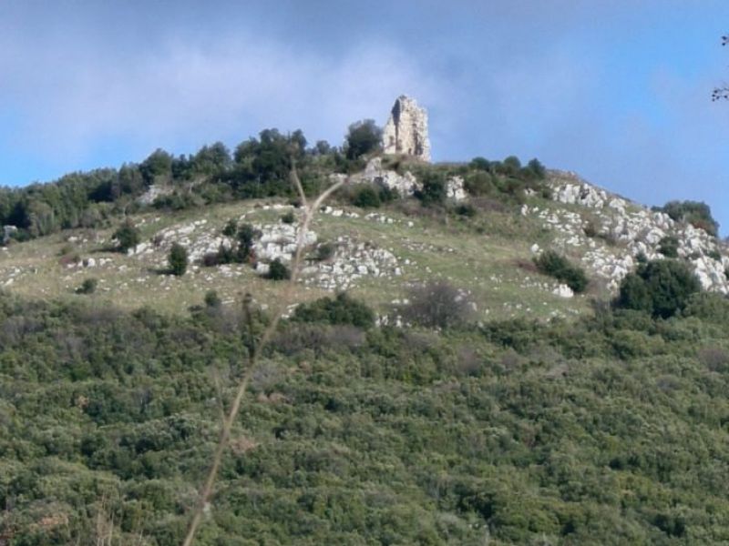 Alviano - Guardea Trail