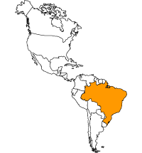 Mappa Brasile