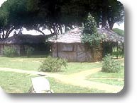 Satao Camp