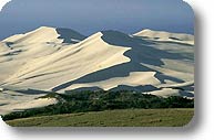 Dune field