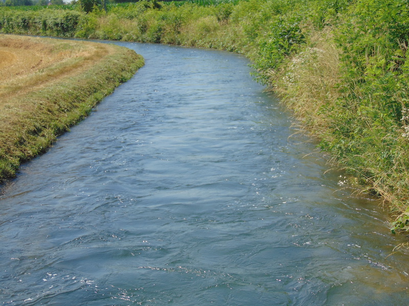 Escursione lungo il canale Villoresi con le G.E.V.