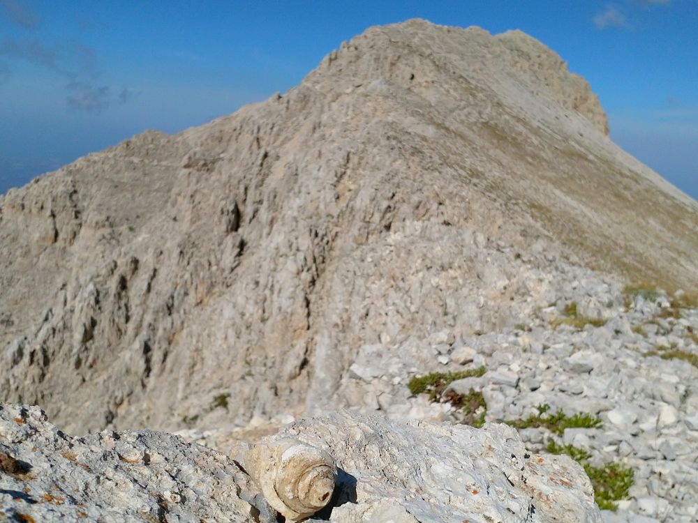 Conosciamo le rocce (e i fossili) del Geoparco Maiella!