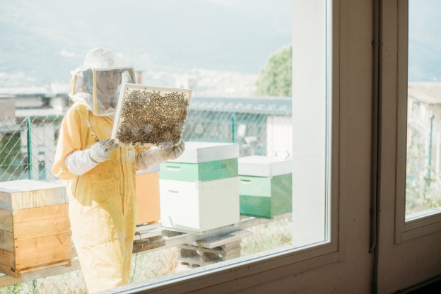 Visita guidata all'apiario didattico Ernesto Agnelli