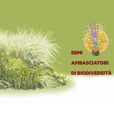 Il seme della biodiversità (Disponibile anche in digitale)