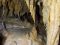 Grotte del Pugnetto (IT1110048)
