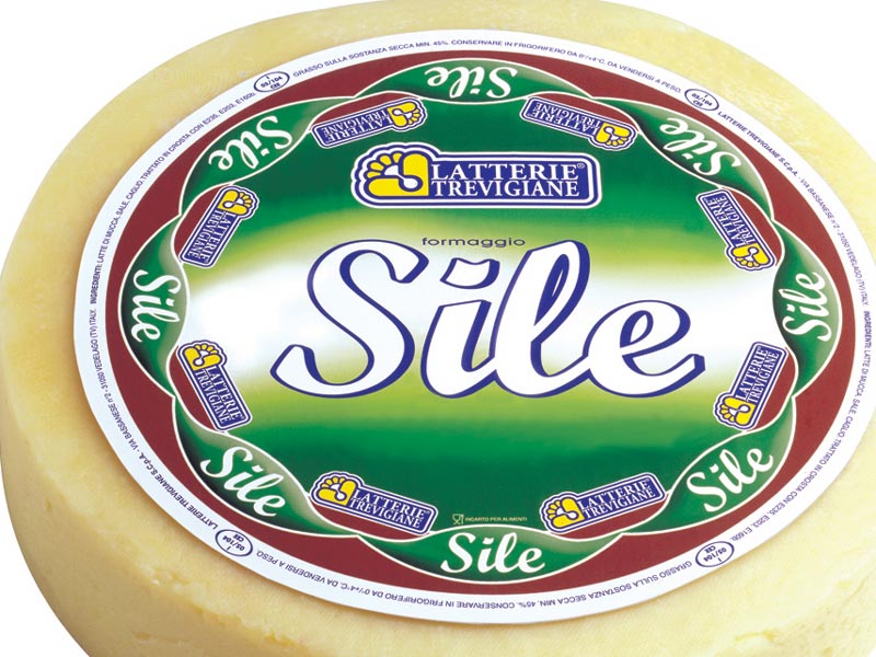 Cheese Sile