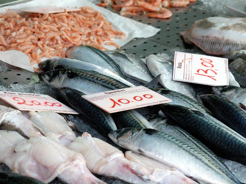 Fischmarkt Pescheria - Treviso