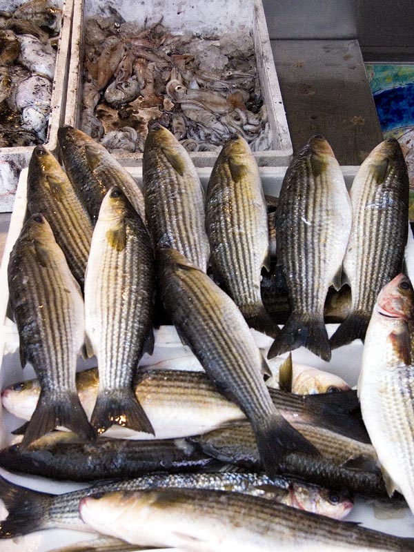 Fischmarkt - Treviso
