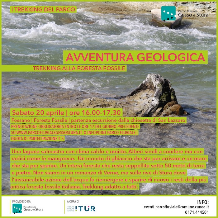 Avventura Geologica | Il Trekking alla foresta fossile
