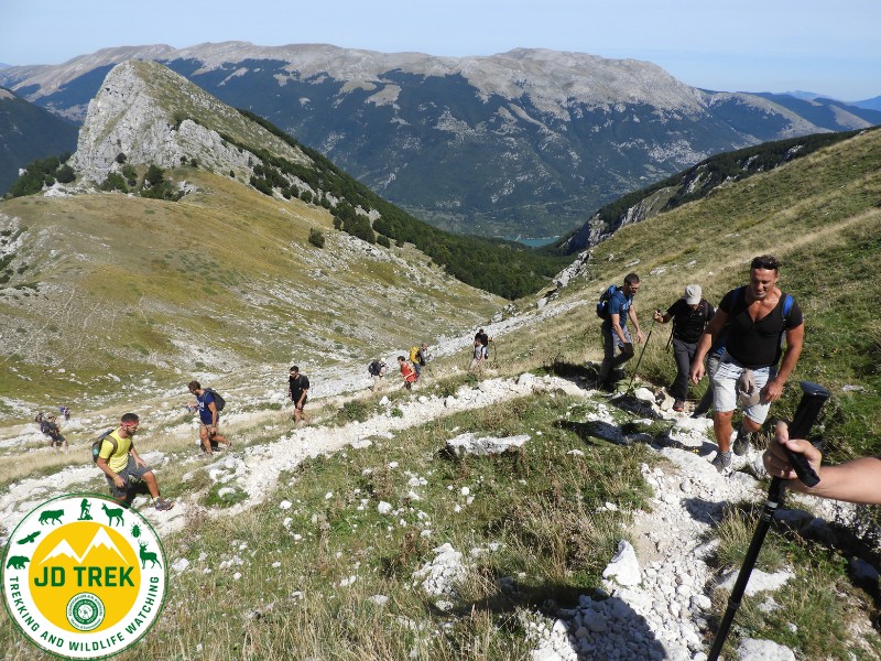 Trekking among the chamois in Val di Rose and Valle Jannaghera