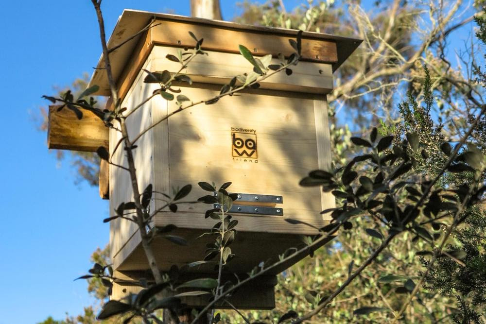 Domus mellifera, una casa per le api