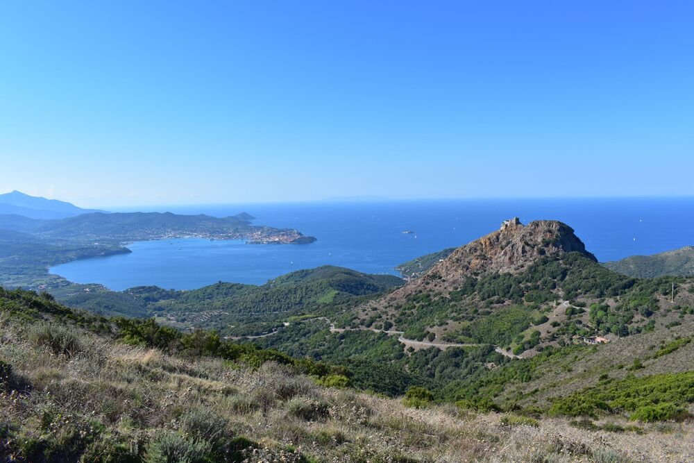 A hike with an expert to discover the cornflowers of eastern Elba - from Le Panche to Mount Castello