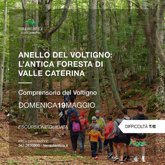 Anello del Voltigno: l’antica foresta di Valle Caterina