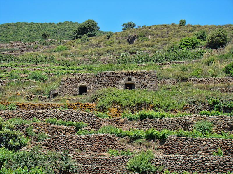 Vivere Pantelleria: alla scoperta dell'entroterra