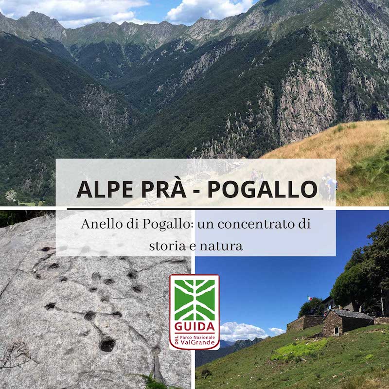 Anello Cicogna - Alpe Pra' - Pogallo - Cicogna