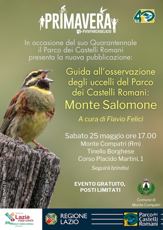 Guida all'osservazione degli Uccelli del Parco dei Castelli Romani: Monte Salomone