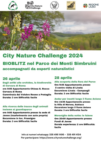 City Nature Challenge 2024 