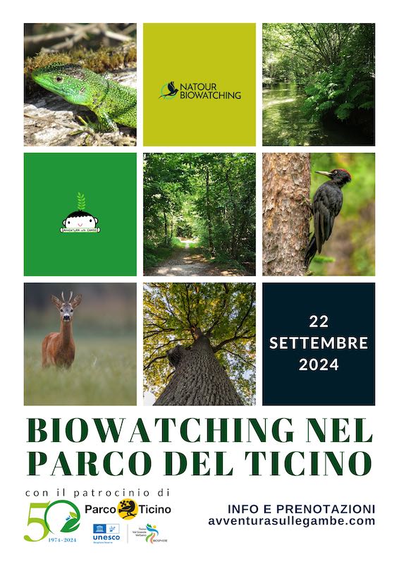 Biowatching nel Parco del Ticino