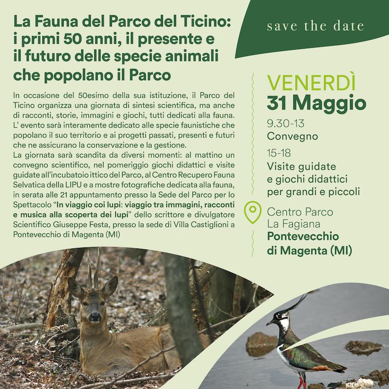 La fauna del Parco del Ticino: i primi 50 anni, il presente e il futuro delle specie animali che popolano il Parco
