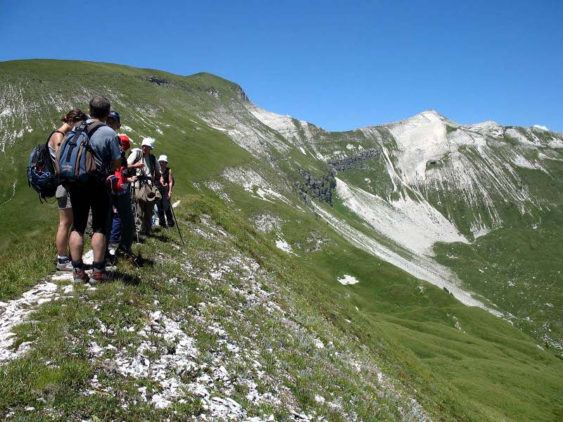 Le Parc National des Dolomiti Bellunesi parmi les préférés   des voyagistes étrangers