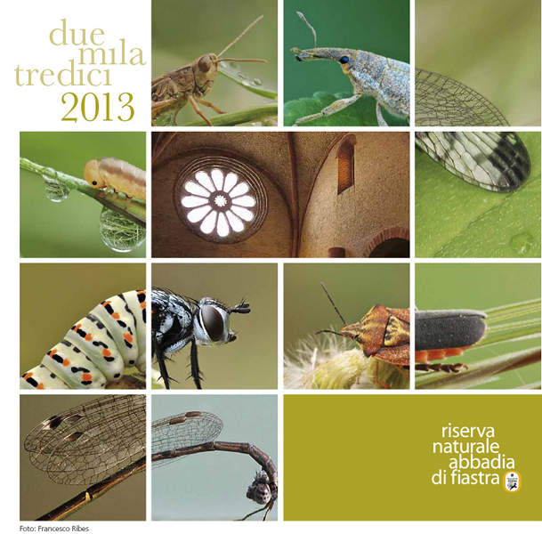 Scopri il calendario della Riserva Naturale 2013