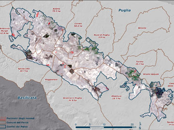Parco Nazionale dell'Alta Murgia: il report sulle aree incendiate nell'estate del 2017