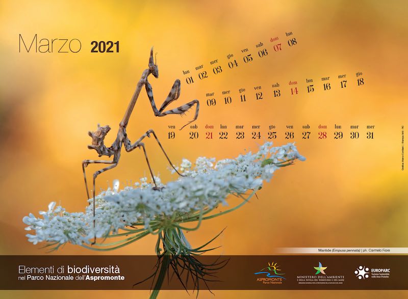 The 2021 Calendar of the Aspromonte National Park