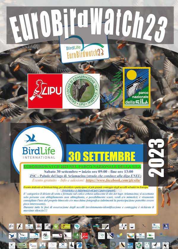 Il 30 settembre per ammirare la migrazione degli uccelli  nel Parco Nazionale della Sila