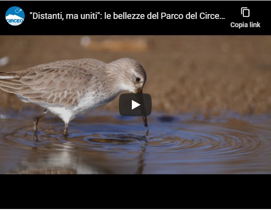 «Distanti, ma uniti»: Pasqua virtuale nel Parco Nazionale del Circeo