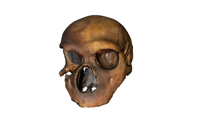Il Cranio del Circeo: la ricostruzione in 3D 