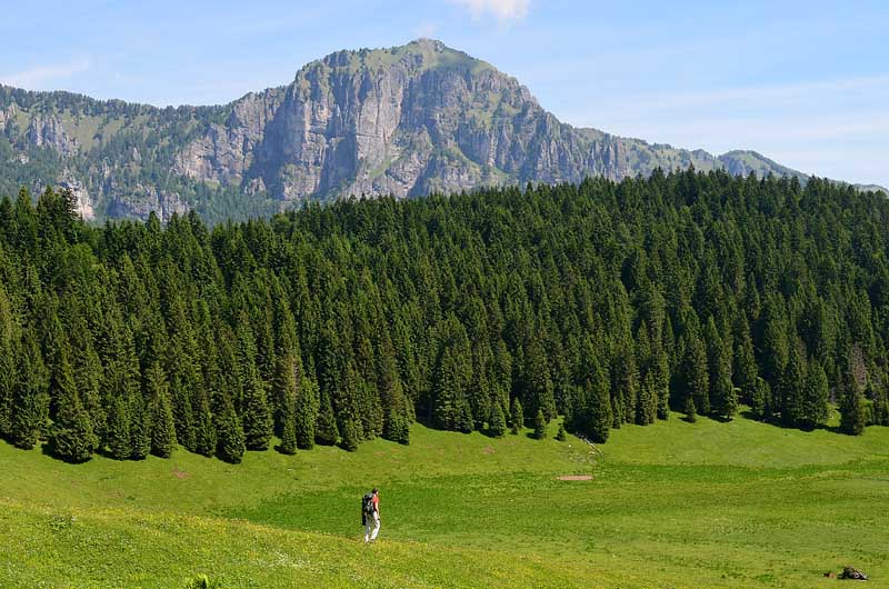 Der Nationalpark Belluneser Dolomiten erlangt das Zertifikat zum Exzellenz TripAdvisor 2016