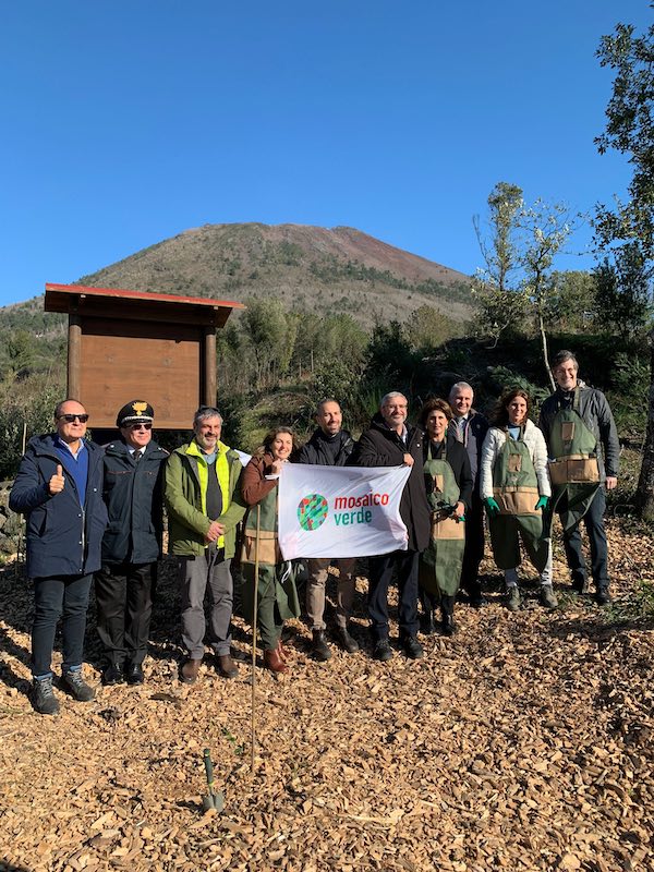 In fase di completamento il terzo intervento di rigenerazione ambientale nelle aree incendiate nel 2017 del Parco Nazionale del Vesuvio