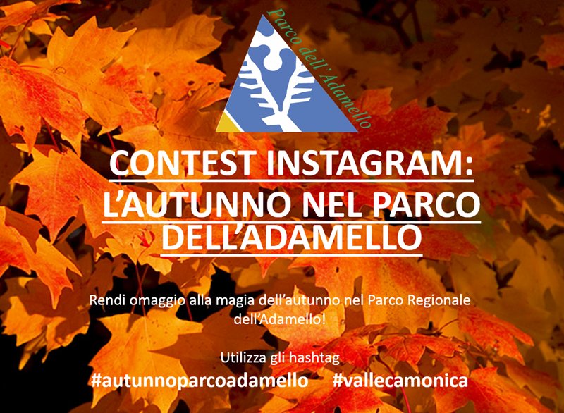 Foto contest Instagram: l'Autunno nel Parco dell'Adamello