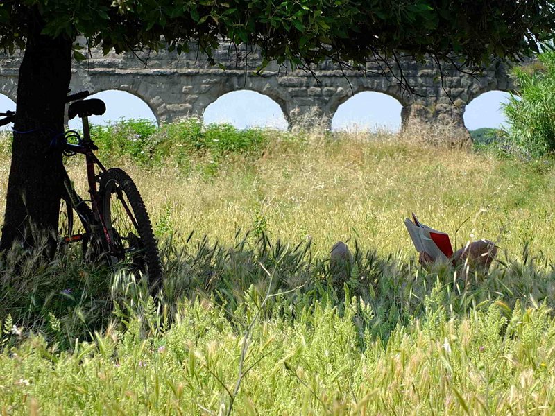 Sabato 19 marzo apre la stagione di visite guidate ed eventi del Parco Regionale Appia Antica: #seguilavolpe