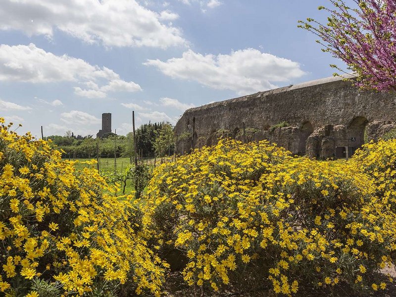 Sabato 23 marzo apre ufficialmente la stagione delle visite guidate al Parco dell'Appia Antica