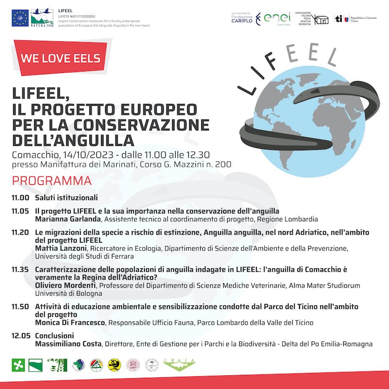 Lifeel: il progetto europeo per la conservazione dell'anguilla