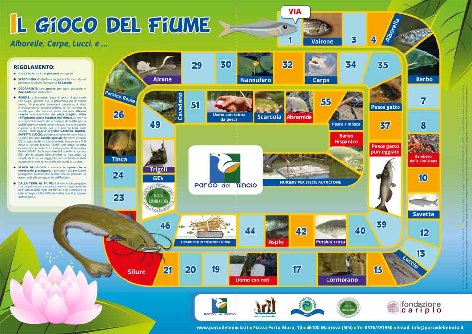 The Park has launched the Mincio River board game, to promote protection of local fish