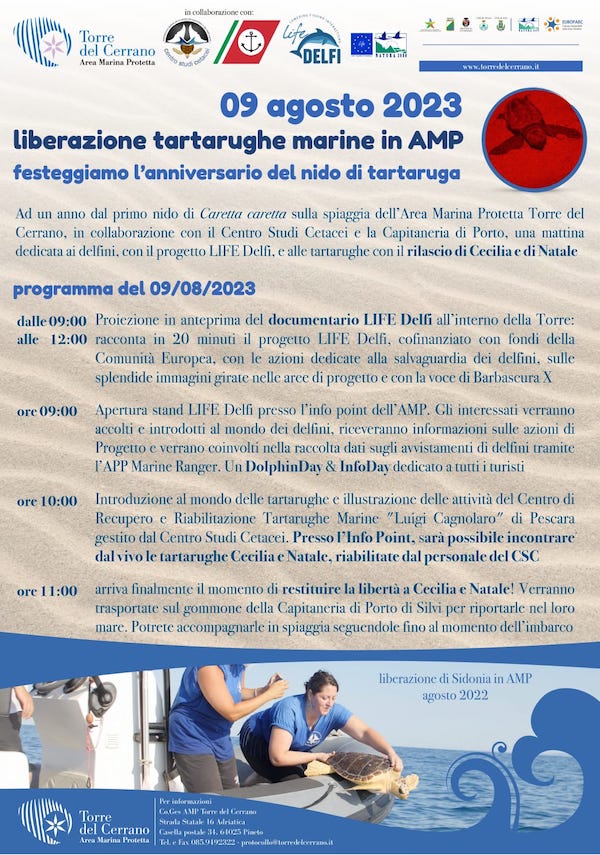 In AMP mattinata dedicata alla liberazione di due tartarughe Caretta caretta e al progetto LIFE Delfi - 9 agosto 2023