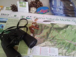 Quattro visite guidate alla scoperta delle Riserva naturale Monte Alpe
