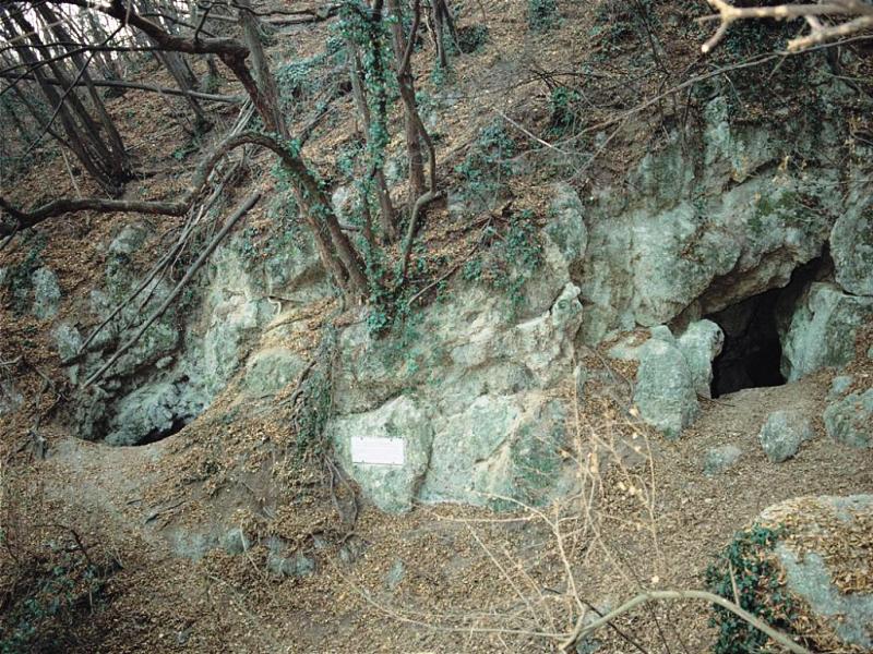 I gessi e le grotte emiliano-romagnoli nel Patrimonio mondiale dell'Umanità, ci sono anche i Gessi di Borzano