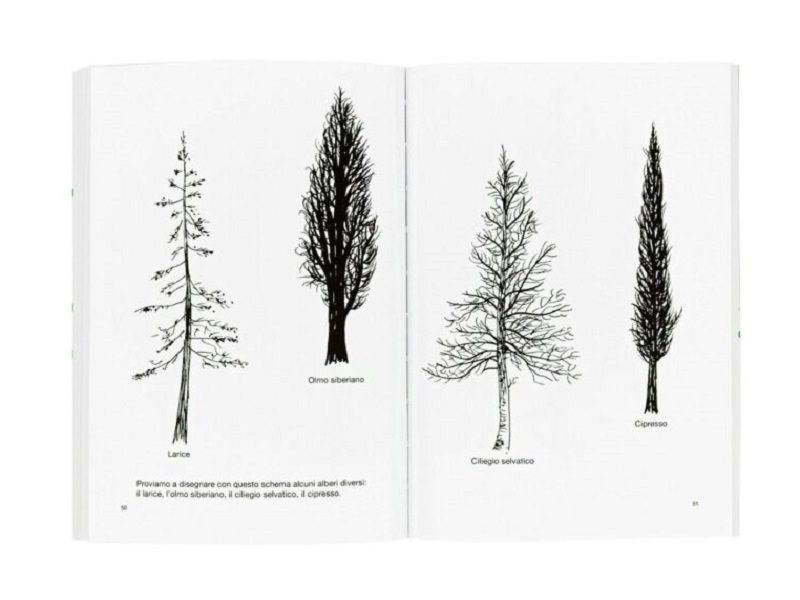 Inverno: gli alberi di Bruno Munari domenica 14 gennaio
