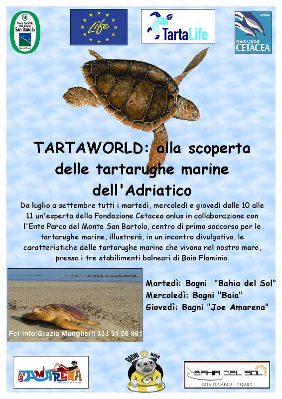 'Tartaworld' alla scoperta delle tartarughe marine del'Adriatico