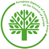 The European Diploma has been confirmed