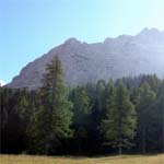 Anche Zoldo Alto entra nel circuito Carta Qualità del Parco Nazionale Dolomiti Bellunesi
